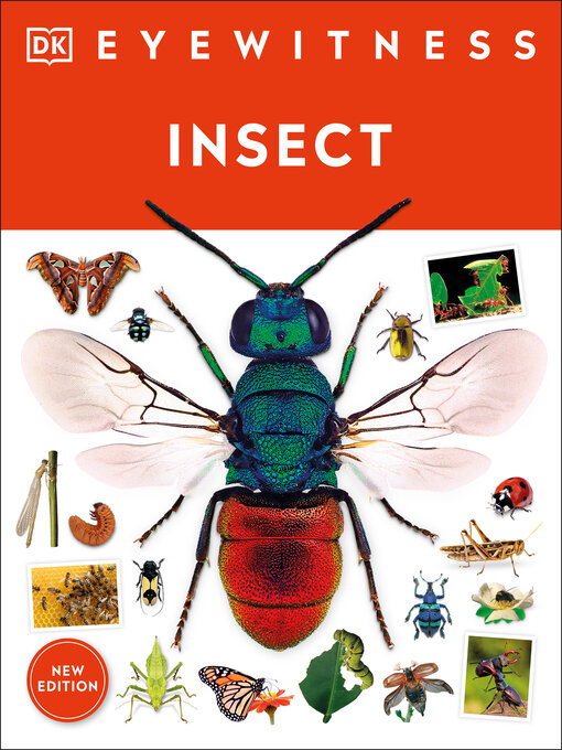 Title details for Insect by DK - Available